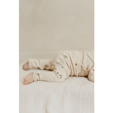 Newborn tights olives print 